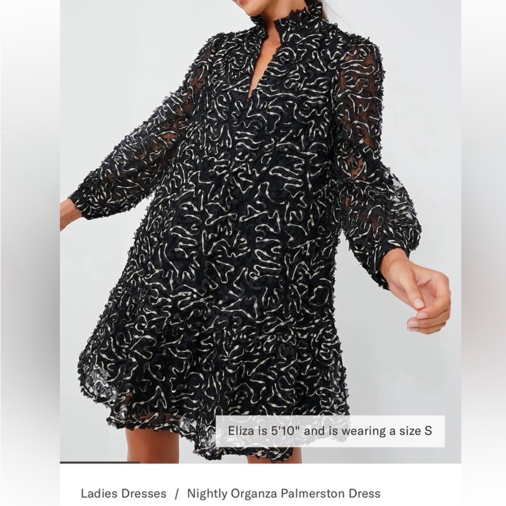 NEW Tuckernuck Nightly Organza
Palmerston Dress size S flirty